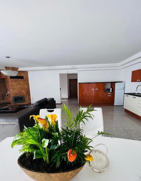 ברטיסלאבה Koliba Apartments 2 מראה חיצוני תמונה